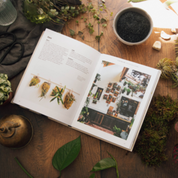 How To Plant A Room And Grow A Happy Home