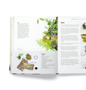 How To Plant A Room And Grow A Happy Home