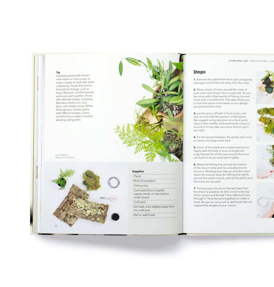 How To Plant A Room And Grow A Happy Home