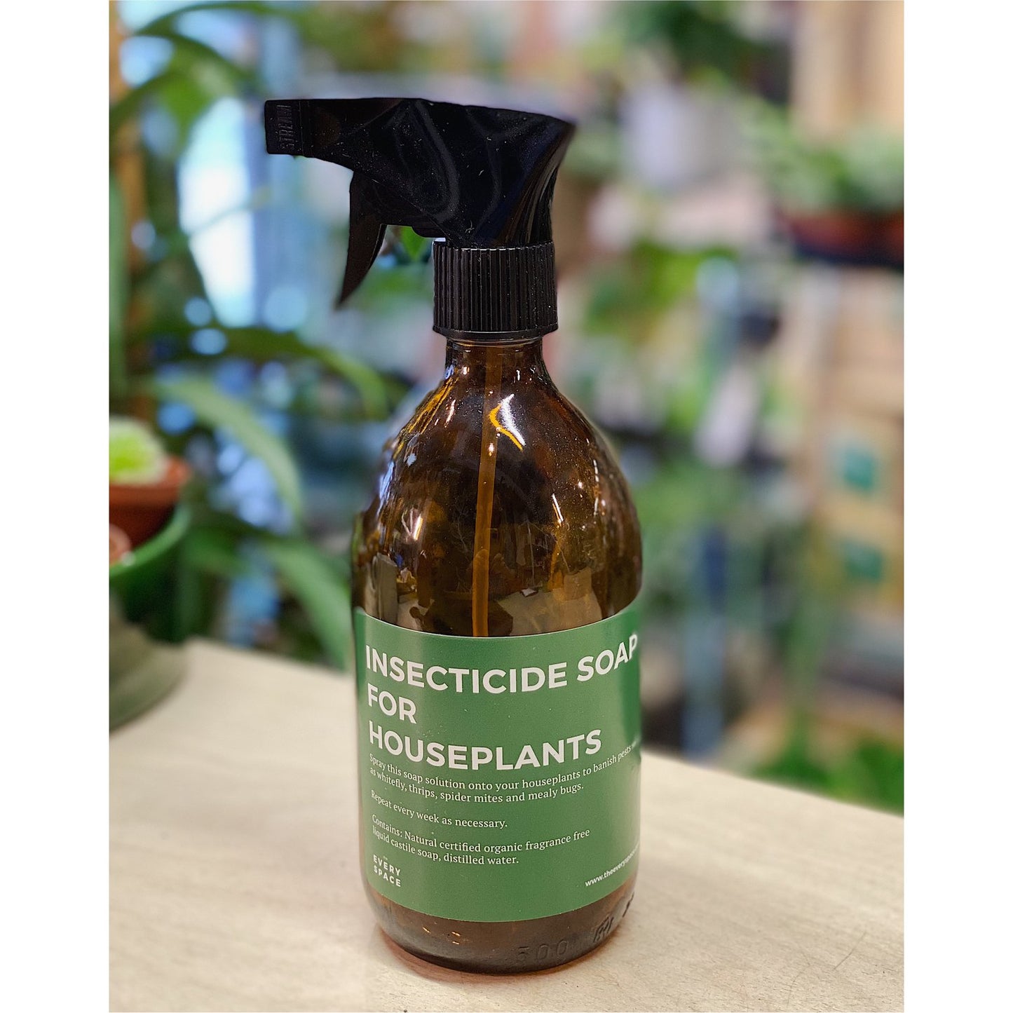Natural Insecticide For House Plants