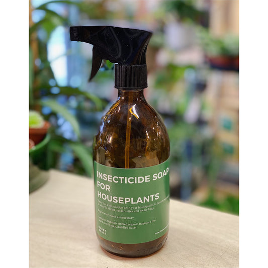 Natural Insecticide For House Plants