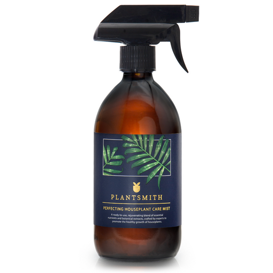 Perfecting Houseplant Care Mist