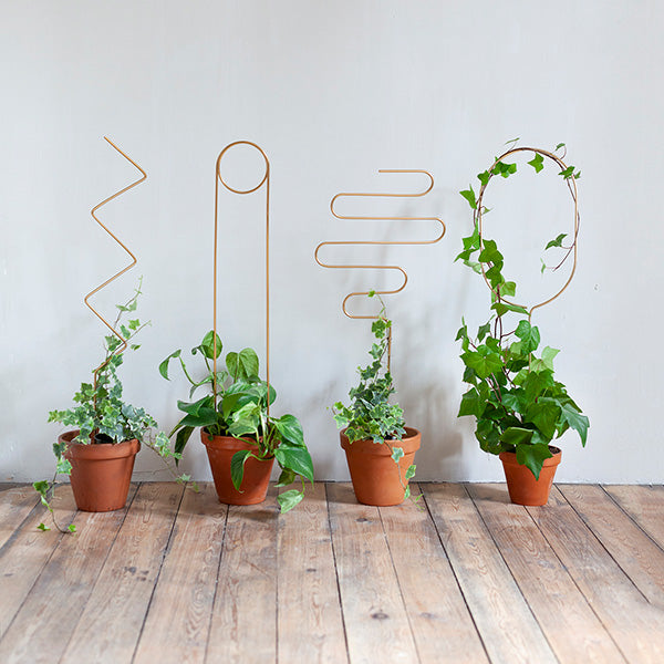 Plant supports For House Plants