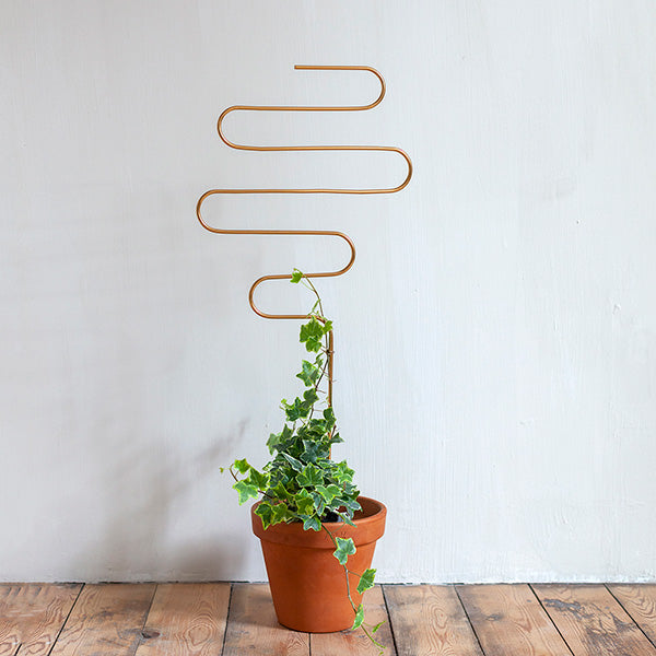Plant supports For House Plants