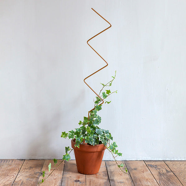 Plant supports For House Plants