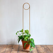 Plant supports For House Plants
