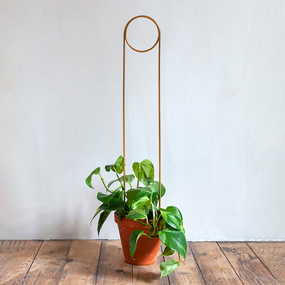 Plant supports For House Plants