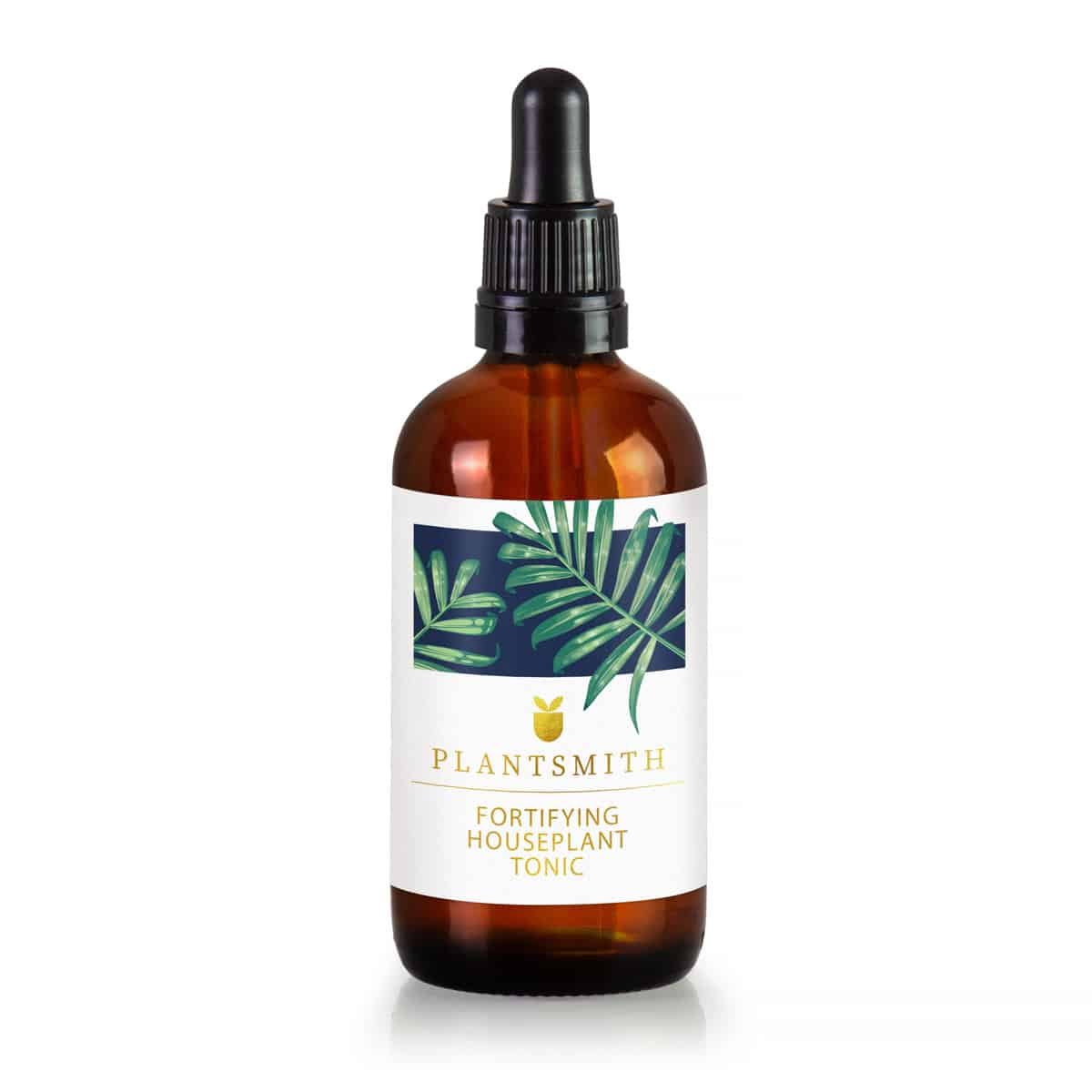 Fortifying House Plant Tonic