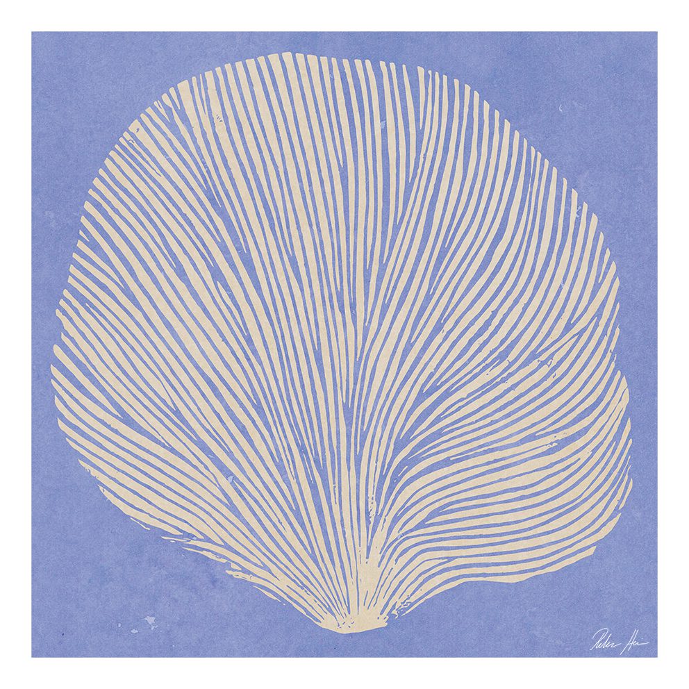 Sea Lavender Print