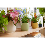 Vibes Plant Pot in Recycled Plastic by Ehlo