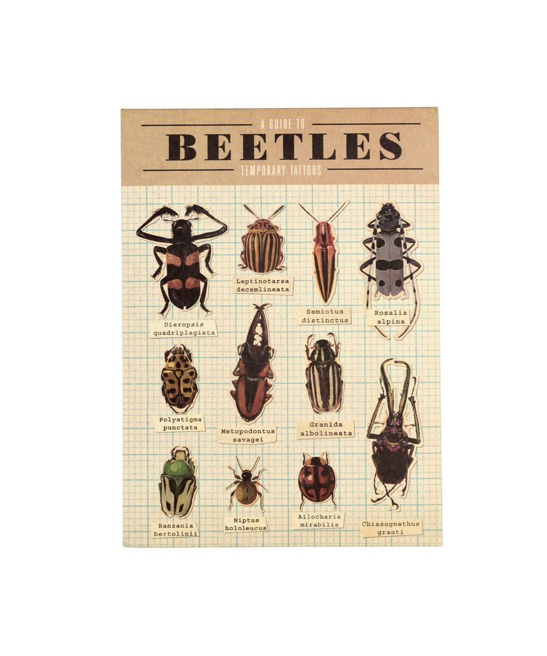 The Every Space 2 sheets of Beetles Temporary Tattoos by Rex London