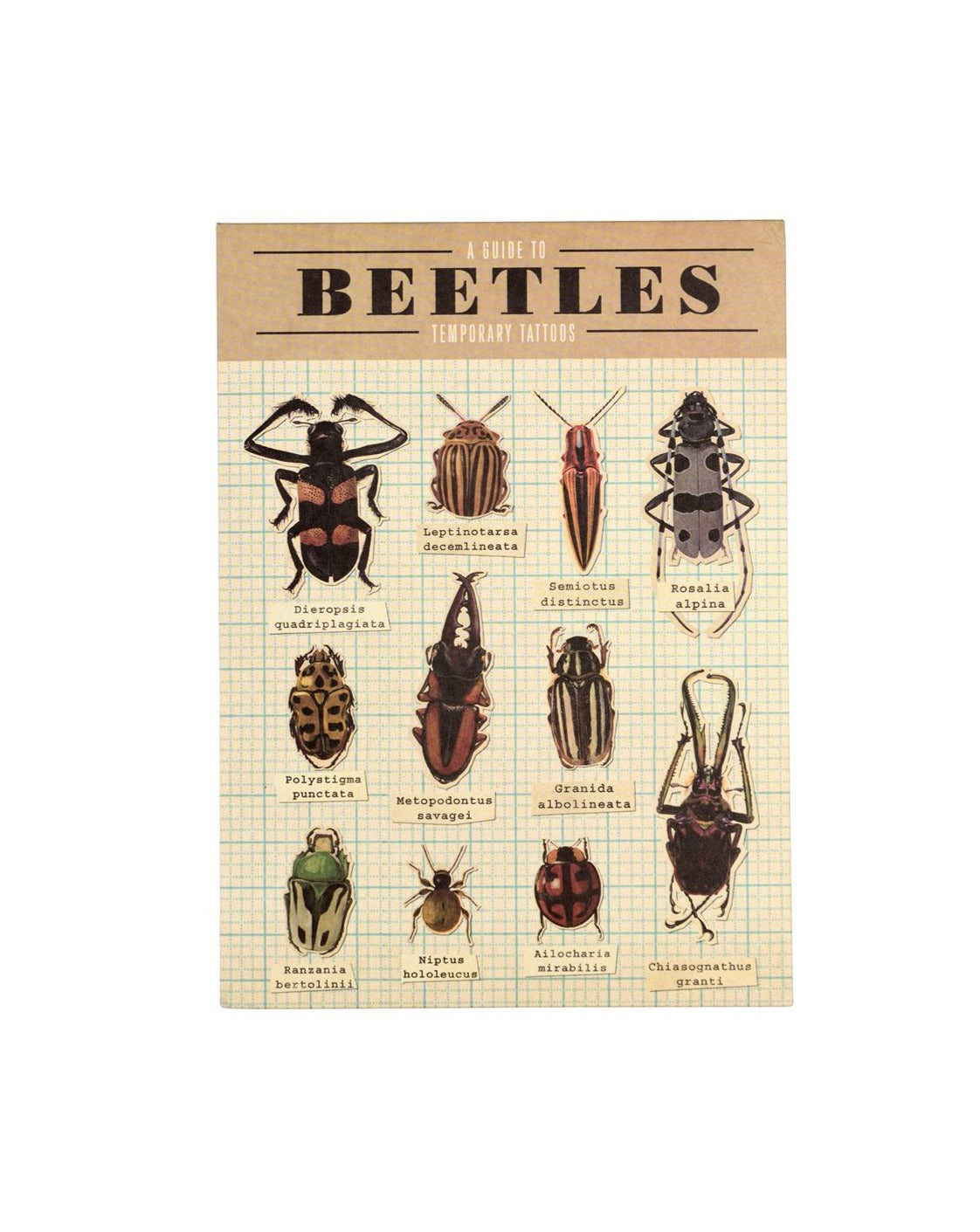 The Every Space 2 sheets of Beetles Temporary Tattoos by Rex London