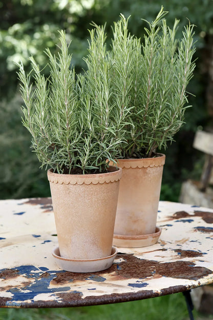 Helena Pot in Rose Clay