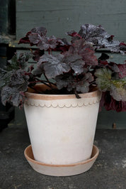 Bergs Helena rose raw pot 