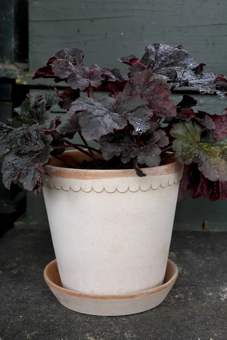 Helena Pot in Rose Clay