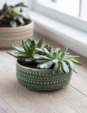 Castello Bowl in Green