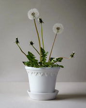 Københavner (Copenhagen) Pot Glazed in Mineral White