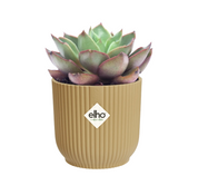 Vibes Plant Pot in Recycled Plastic