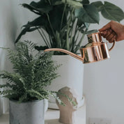 The Every Space 1 pint hand-polished Fazeley Flow Copper Pot Waterer watering can with non drip spout by Haws