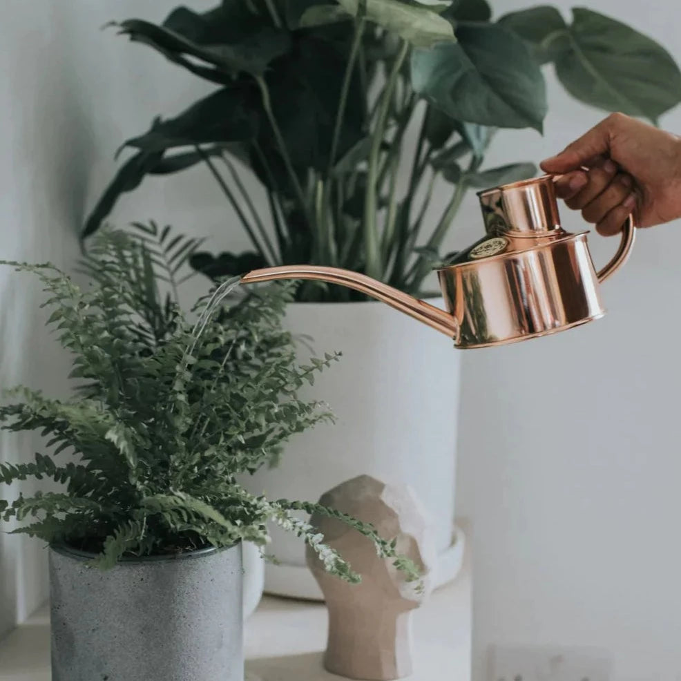 The Every Space 1 pint hand-polished Fazeley Flow Copper Pot Waterer watering can with non drip spout by Haws