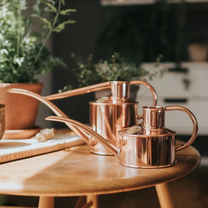 The Every Space 1 pint hand-polished Fazeley Flow Copper Pot Waterer watering can with non drip spout by Haws