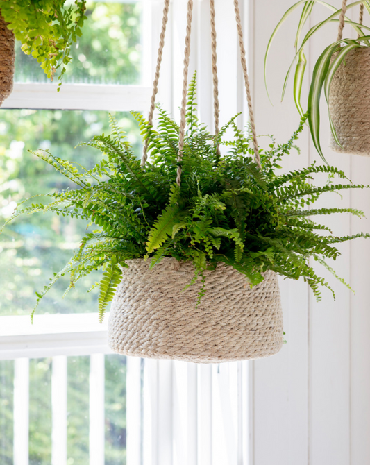Hanging Woven Plant Pot- Tapered