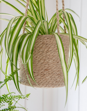 Hanging Woven Plant Pot | Ø16.5cm