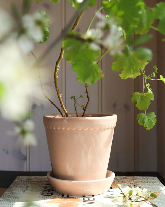 The scalloped clay fringe along the top edge of the beautiful Helena Pot gives it a soft and classic look.