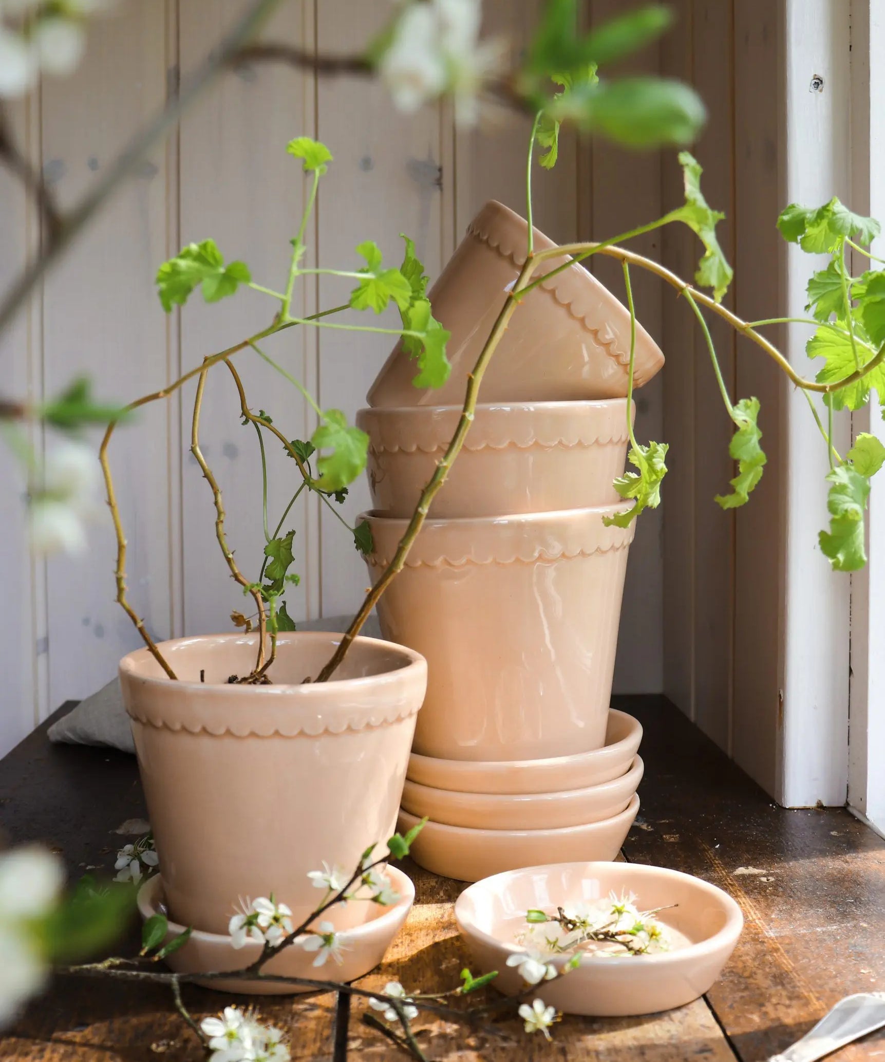 Helena Pot in Glazed Rose
