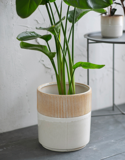 Hillesley Pot