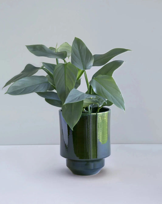 Hoff Glazed Emerald Green Indoor Pot Ø14 cm