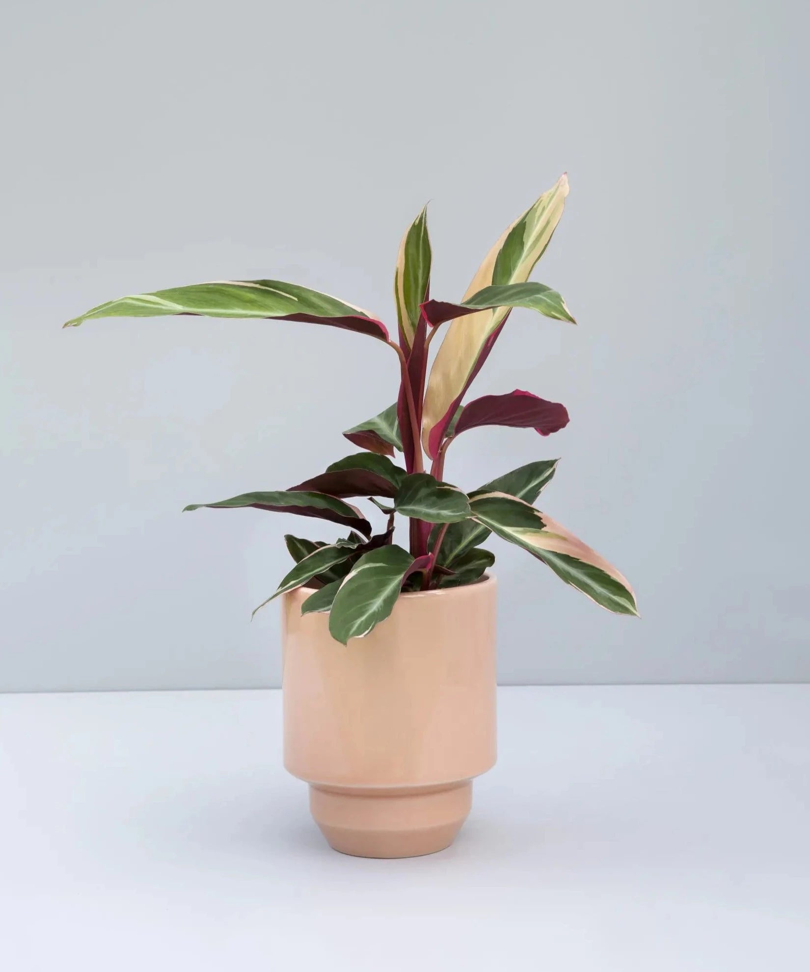 The inspiration of&nbsp;the timeless glazing palette of the Glazed Hoff Pot is rooted in Scandinavia. Hoff Glazed Quartz Rose Indoor Pot Ø14 cm