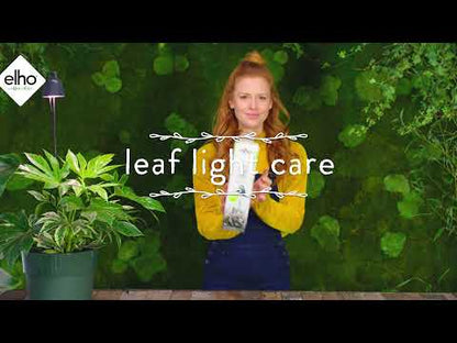 Grow Light Leaf Light Care for House Plants