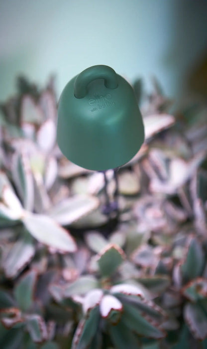 Grow Light Leaf Light Care for House Plants