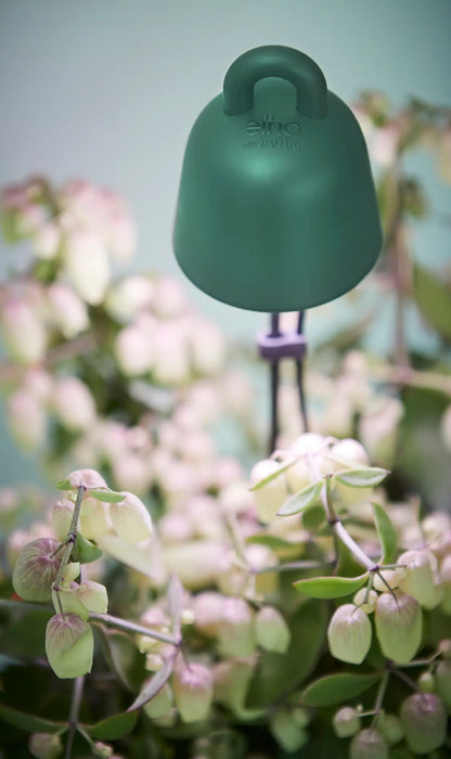 Grow Light Leaf Light Care for House Plants