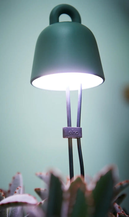 Grow Light Leaf Light Care for House Plants