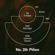 Incense Sticks | Piñon